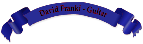 David Franki - Guitar